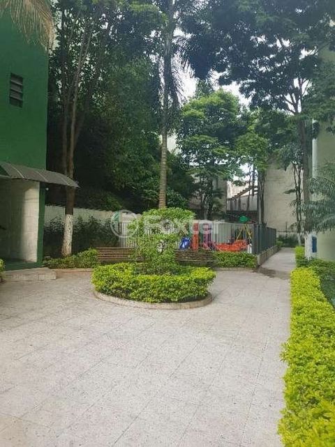 Image 12 - 896235
